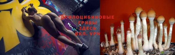 Альфа ПВП Верея