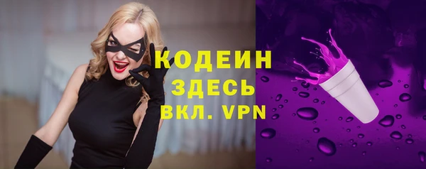 Альфа ПВП Верея