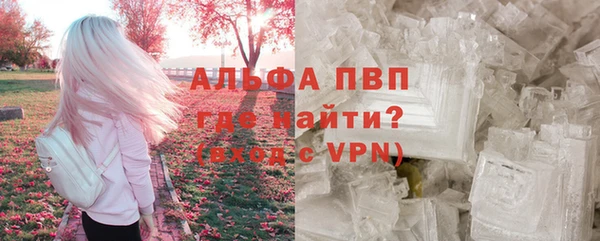 Альфа ПВП Верея
