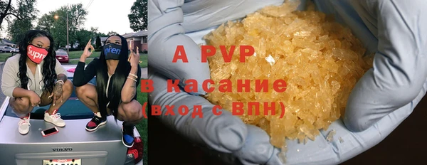 Альфа ПВП Верея