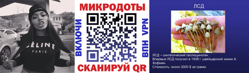Псилоцибиновые грибы Cubensis  Купить  Кольчугино 