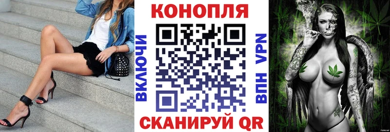 Купить закладки  Кольчугино  МАРИХУАНА сатива 